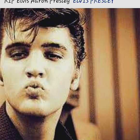 Meet your Posher, Veronica - Picture 8 of 8